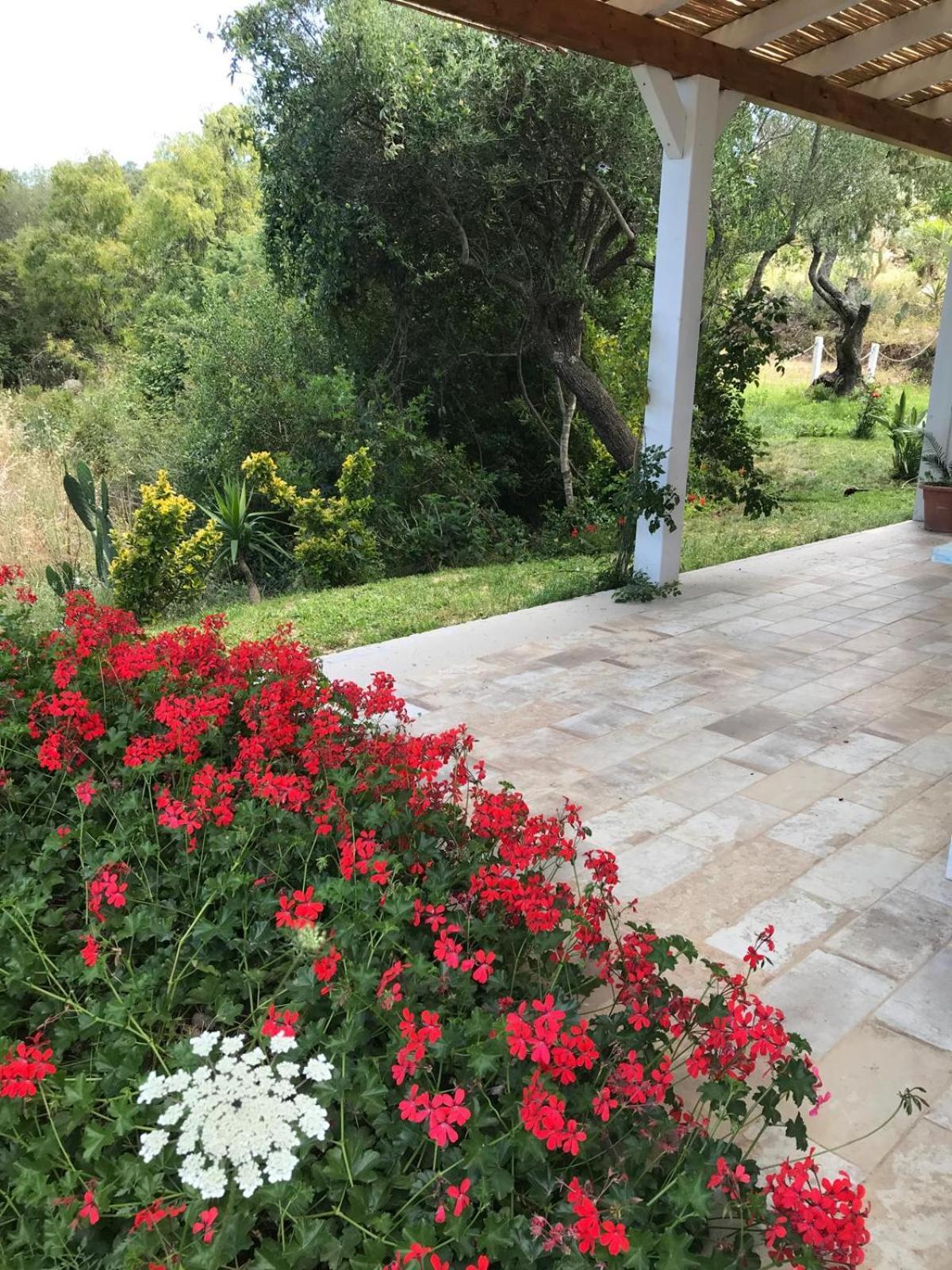 La Fragola In Campagna 6 K M Da San Pantaleo Hotel Ngoại thất bức ảnh