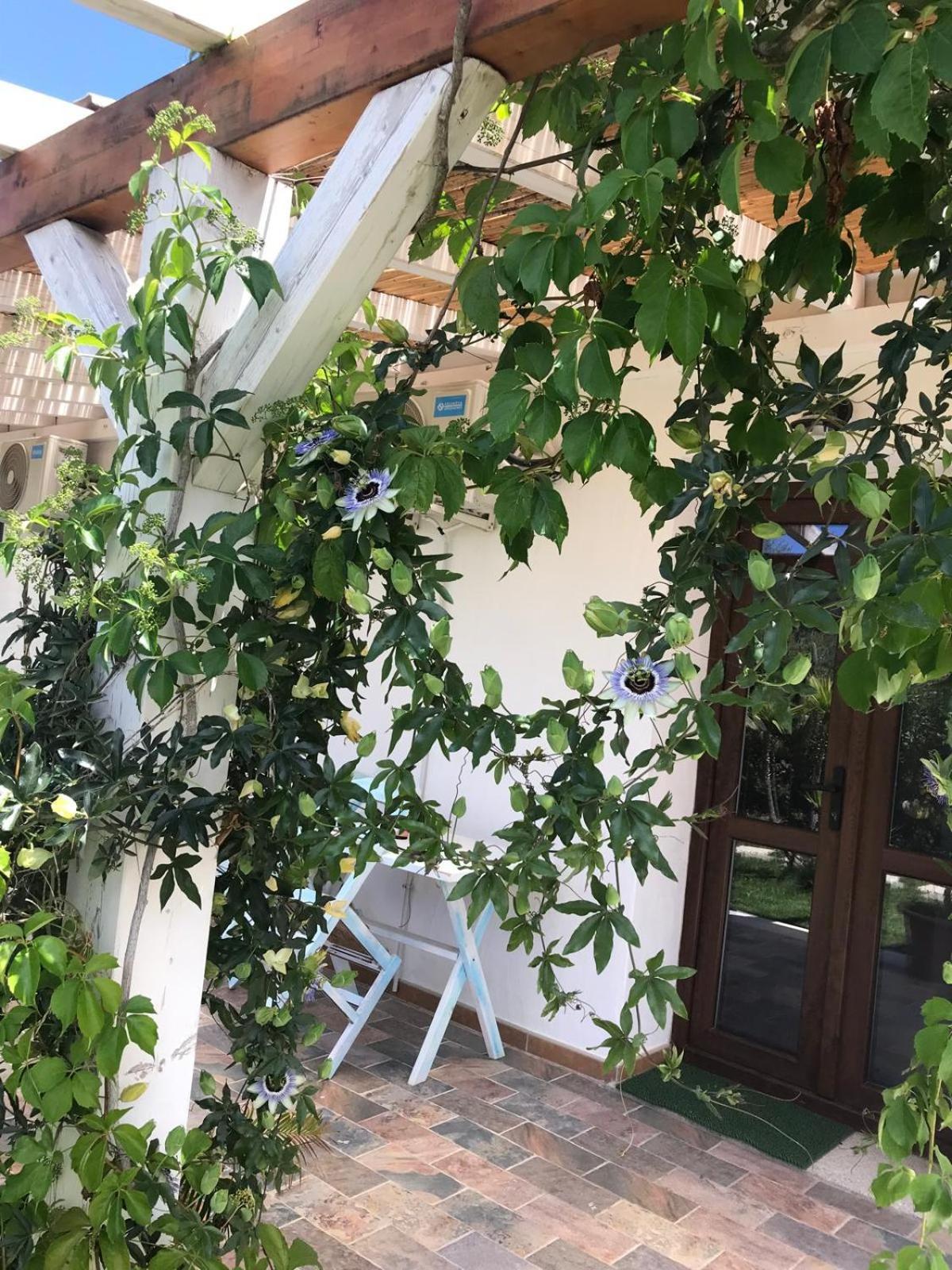 La Fragola In Campagna 6 K M Da San Pantaleo Hotel Ngoại thất bức ảnh